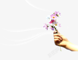 手拿小花星光下灰色的花朵PSD高清图片