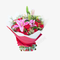 粉红色花束红暖色康乃馨高清图片