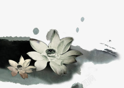 水墨荷花素材