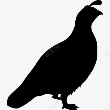 鹌鹑鸟形图标图标