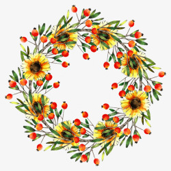 明黄花环高清图片