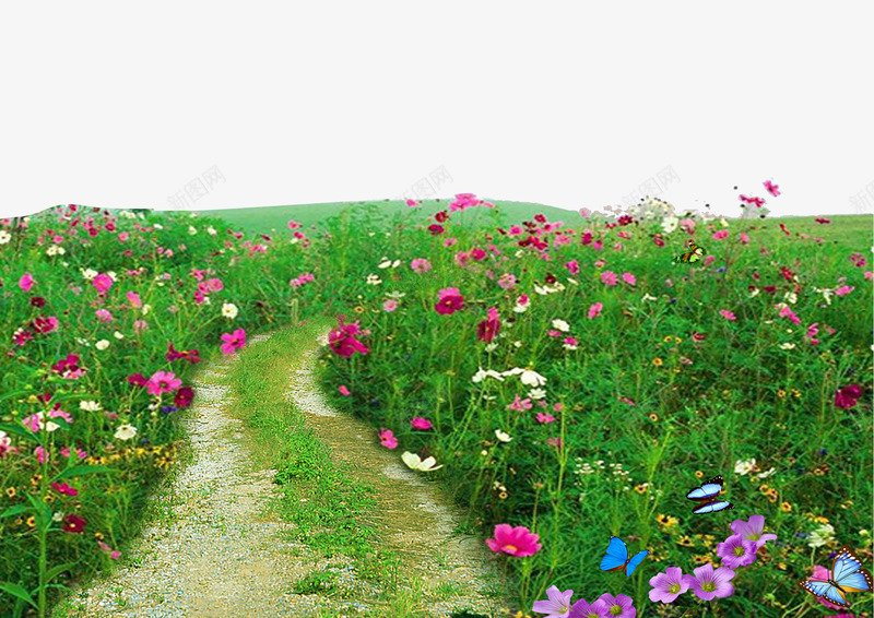 乡村小道鲜花植物背景psd免抠素材_88icon https://88icon.com 乡村 乡村小道鲜花植物背景 小道 植物 背景 道路 鲜花
