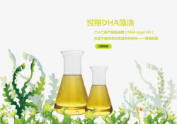 DHA藻油素材