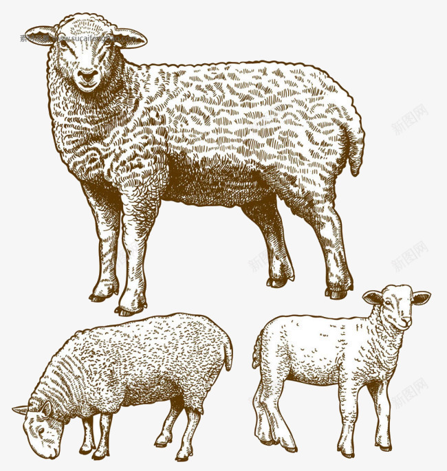 草原生活png免抠素材_88icon https://88icon.com 动物 手绘羊群 牧羊人 线描 羊群 衣服 装饰