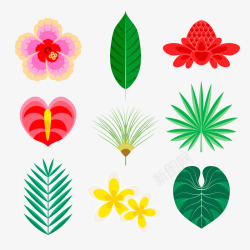 彩色热带花卉和叶子素材