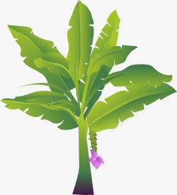 卡通热带芭蕉树绿叶卡通风格香蕉树矢量图高清图片