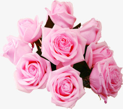 粉色室内鲜花温馨活动素材