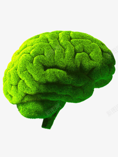 大脑png免抠素材_88icon https://88icon.com 人脑图 健康 绿色 绿色宣传图 草坪