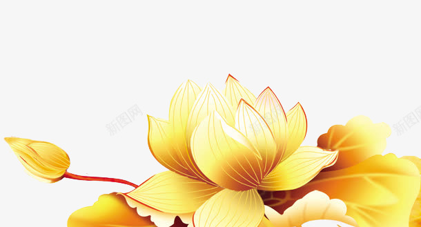 手绘金色荷花高贵png免抠素材_88icon https://88icon.com 荷花 金色 高贵