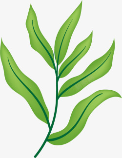 卡通植物桉树叶矢量图素材