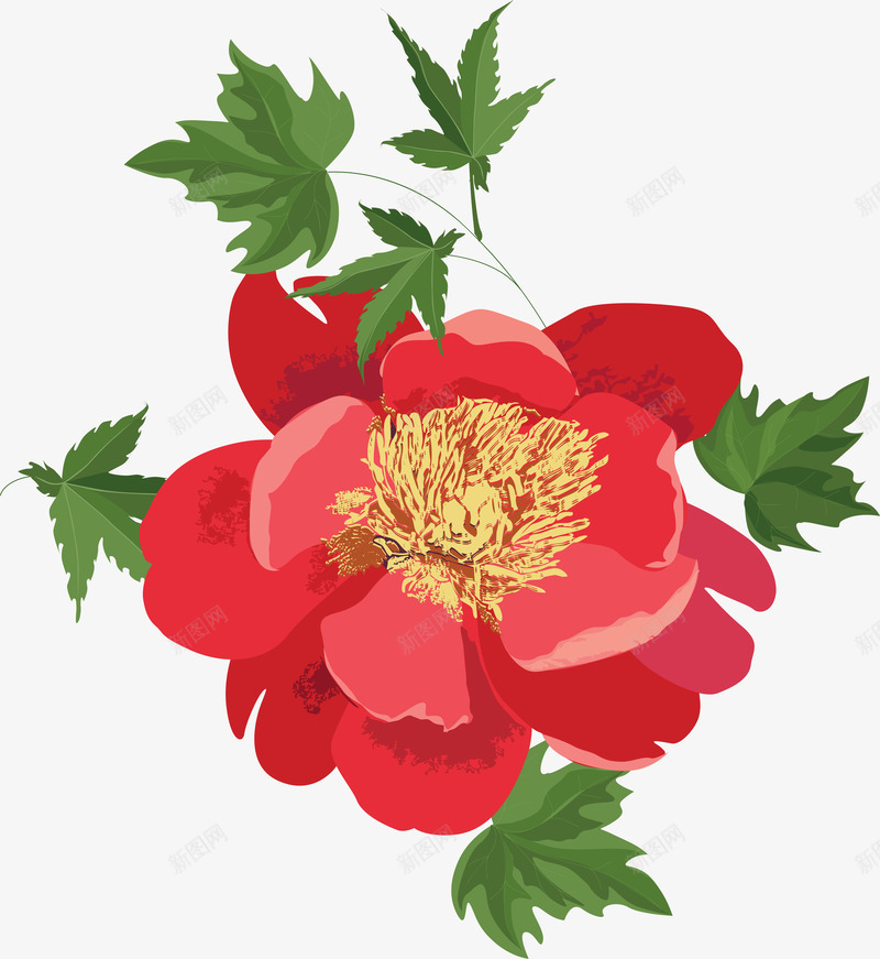 红色盛开的鲜花png免抠素材_88icon https://88icon.com 唯美 手绘 水彩 漂亮 花卉 花朵 装饰