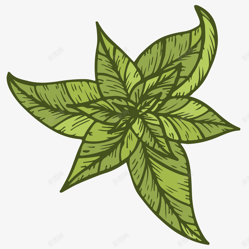 雕刻风格茶叶插画矢量图ai免抠素材_88icon https://88icon.com 免抠PNG 养生 清新 绿茶 茶 茶叶 雕刻风格茶叶插画 矢量图