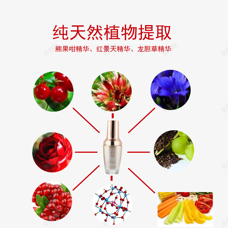 纯天然植物提取png免抠素材_88icon https://88icon.com 化妆品 天然护肤 女性 护肤品