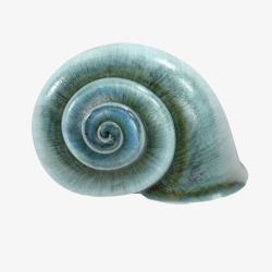 海螺形状蓝色蜗牛形状花纹大海螺高清图片