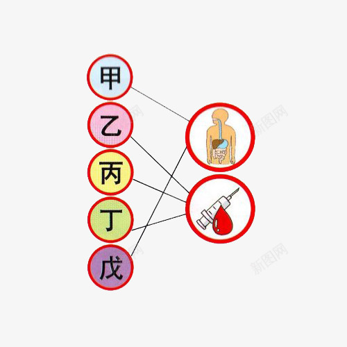 肝炎示意图png免抠素材_88icon https://88icon.com 健康 医药 卡通 治疗 示意图 肝炎 连线图