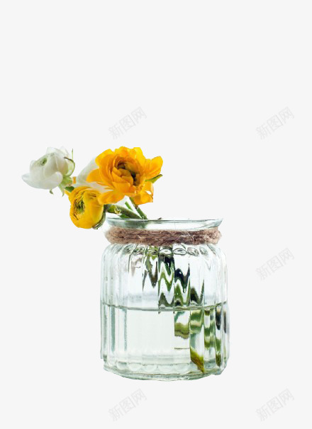 一瓶鲜花png免抠素材_88icon https://88icon.com 玻璃 花朵 花瓶 黄色