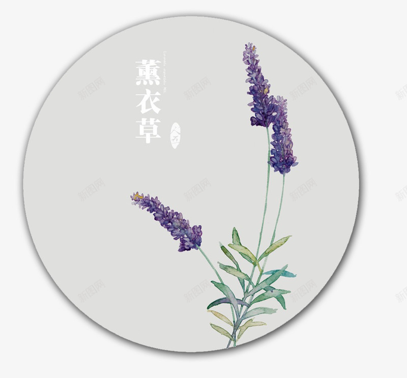 手绘薰衣草png免抠素材_88icon https://88icon.com 化妆品 植物