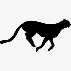 猫科动物王国猎豹猫的剪影图标高清图片