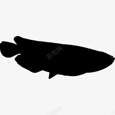 金龙贺年鱼龙鱼的形状图标图标
