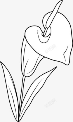 传神素描黑白植物高清图片