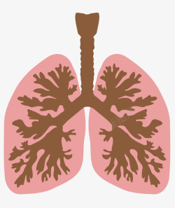 人体肺部素材