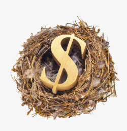 创意倒进马桶中的钱币创意鸟巢中的钱币符号高清图片