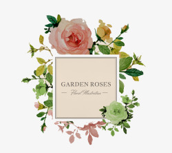 水彩花卉和花环素材