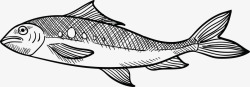 手绘风格黑白沙丁鱼素材