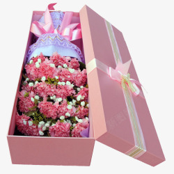 教师节礼物康乃馨植物花朵素材