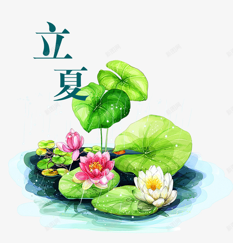 立夏二十四节气荷花psd免抠素材_88icon https://88icon.com 二十四节气 水彩绘 池塘 立夏 竹子荷花荷叶满池塘 背景装饰 荷塘 荷花