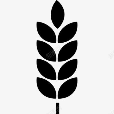 植物植物的叶子图标图标