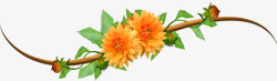 缠绕的蔓藤橘色花朵素材