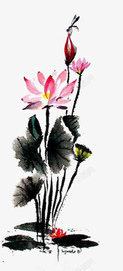 中国风荷花水墨画素材
