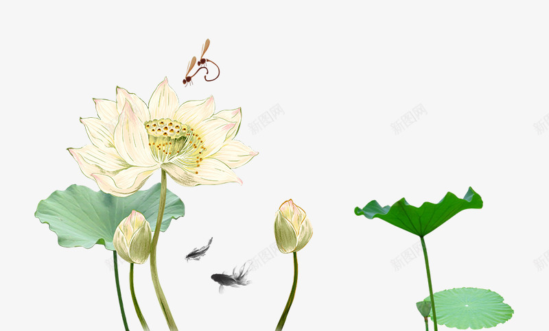 纯洁白色荷花鱼儿png免抠素材_88icon https://88icon.com 游动的鱼儿 白色 纯洁 荷花 鱼儿