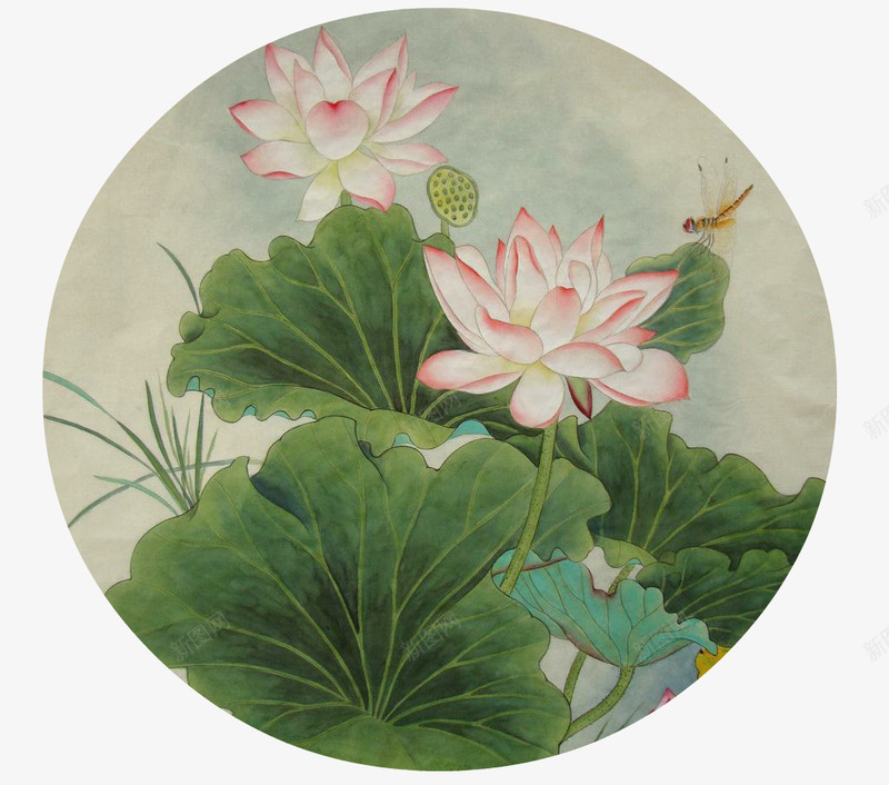 工笔画连花儿png免抠素材_88icon https://88icon.com 国画 工笔画 工笔荷花 花儿 荷花