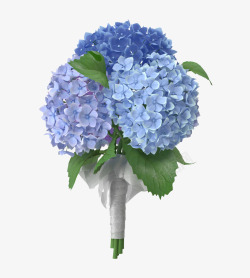 纸包蓝色鲜花球高清图片