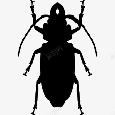 小强蟑螂形状图标图标