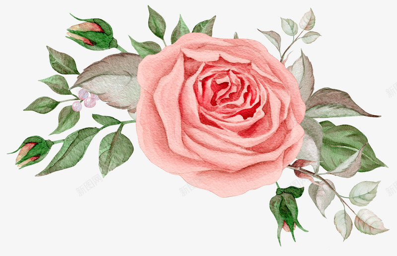 鲜花和叶子png免抠素材_88icon https://88icon.com 叶子 植物 矢量装饰 粉色的花 装饰 鲜花