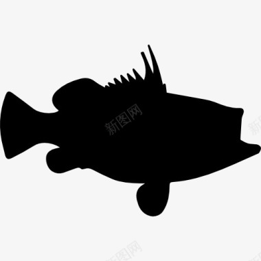 生物整容石斑鱼的形状图标图标