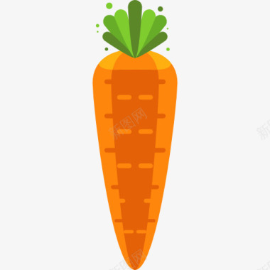 食品banner素材Carrot图标图标