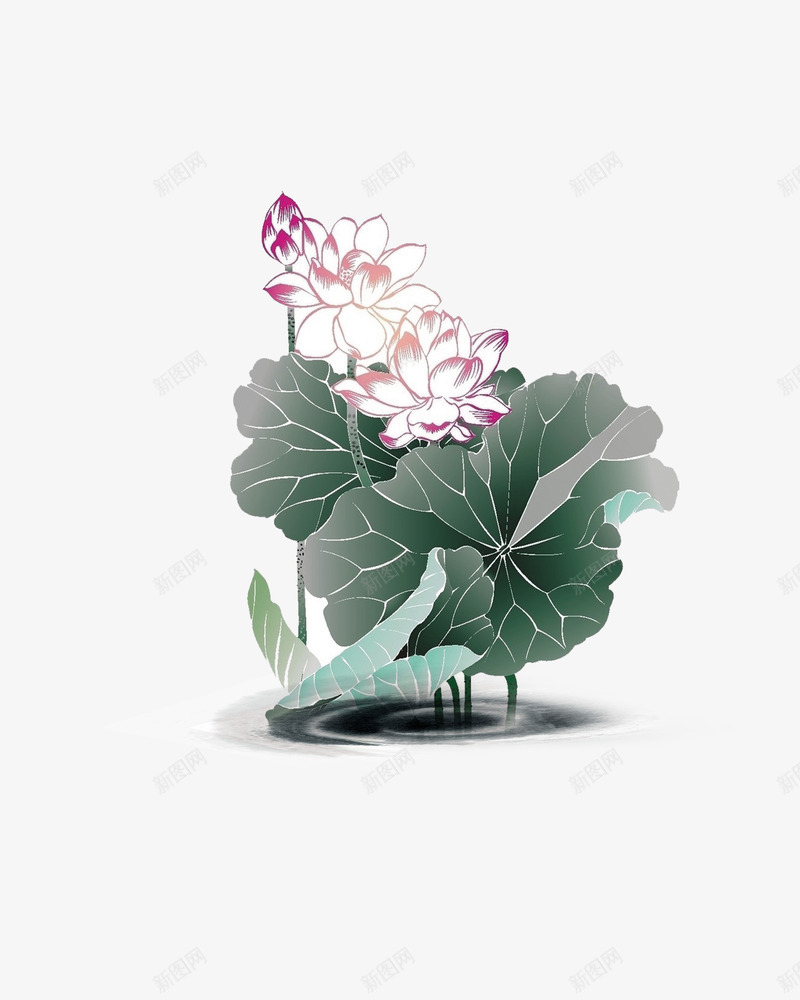 手绘荷花装饰图案png免抠素材_88icon https://88icon.com 中国风 手绘 花卉装饰 荷花