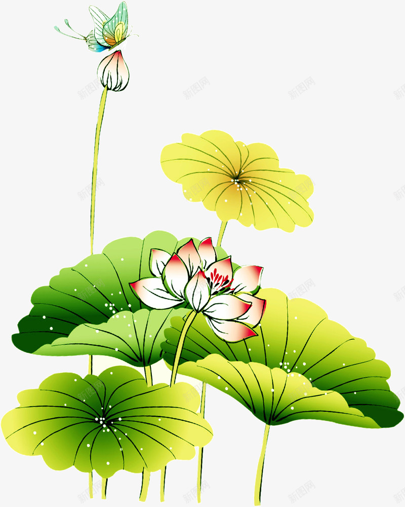 第一期】超全花卉植物图谱珍藏版一网打尽观花植物，市面上的花你