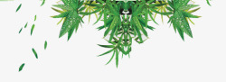 竹叶边角植物素材