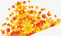 飘飞的枫叶金色的落叶高清图片