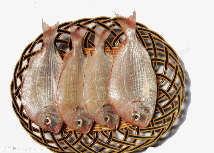 天然食品png免抠素材_88icon https://88icon.com 加吉鱼 品质保障 新鲜鲷鱼 绿色健康 肉质鲜嫩 营养美味 鲷鱼
