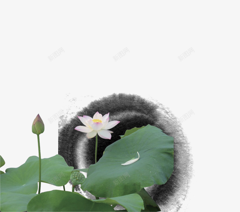 水墨荷花荷叶psd免抠素材_88icon https://88icon.com 水墨 荷叶 荷花