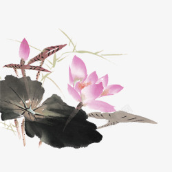 粉色中国风荷花装饰图案素材