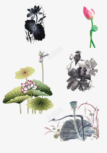 水墨画荷花psd免抠素材_88icon https://88icon.com 中国风 水墨画 水墨荷花 荷花 黑白