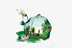 池塘荷叶荷花素材