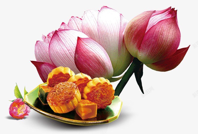 中秋节月饼荷花装饰图案png免抠素材_88icon https://88icon.com 中秋节 八月十五 团圆 月饼 荷花 装饰图案 赏月